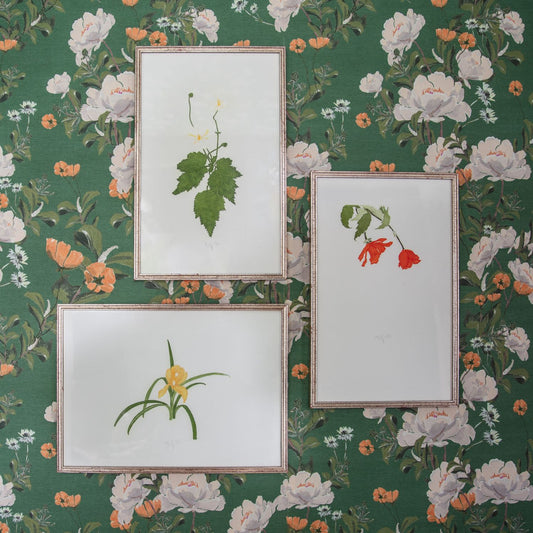 Vintage Floral Prints